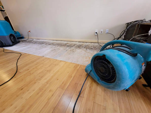 Professional Water Damage Repair technician working in Sanibel, FL